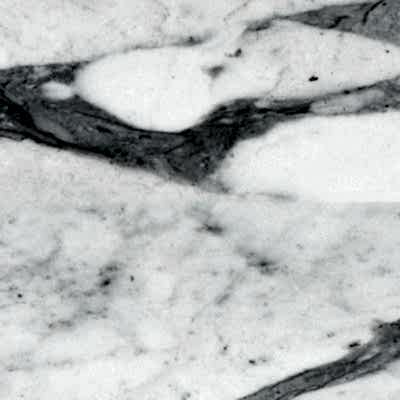 Calacatta Gold Royal Collection