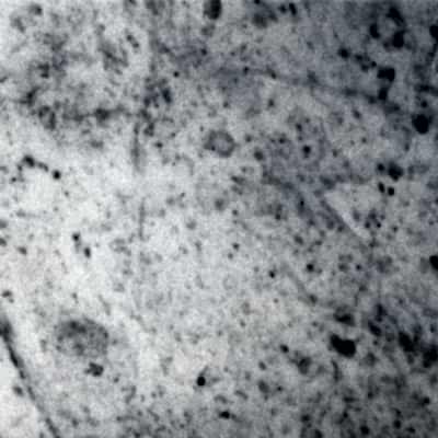 Opal White Marble Collection