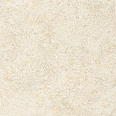 Seashell Limestone Collection