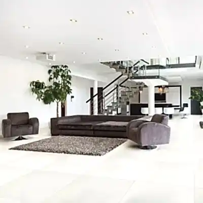 Champagne Collection