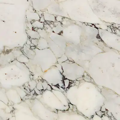 Calacatta Picasso Marble Collection