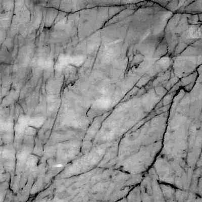 White Carrara Marble Collection